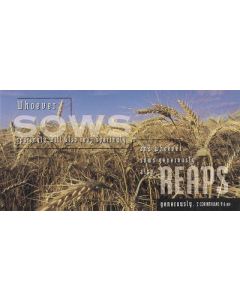 Offering Envelopes-Wheat Fields (tithers, special offering)