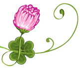 Irish Expressions Store - Gifts - Jewelry - Clothing