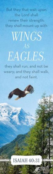 Wings Of Eagles Bookmarks