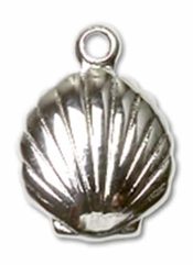 Sterling Silver Shell Pendant on an 18-inch Sterling Silver Light Curb Chain