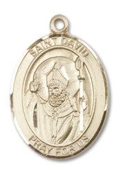 14kt Gold Filled Saint David of Wales Pendant on an 24-inch Gold Filled Heavy Curb Chain