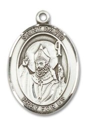 Sterling Silver Saint David of Wales Pendant on an 24-inch Sterling Silver Heavy Curb Chain