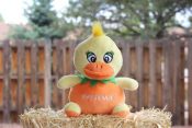 Patience The Orange Duck (Action Figure)