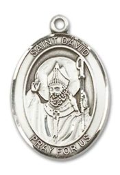 Sterling Silver Saint David of Wales Pendant on an 18-inch Sterling Silver Light Curb Chain