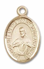 14kt Gold Filled Scapular Pendant on an 18-inch Gold Filled Light Curb Chain