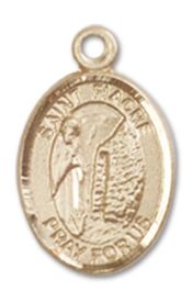 14kt Gold Filled Saint Fiacre Pendant on an 18-inch Gold Filled Light Curb Chain