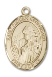 14kt Gold Filled Saint Finnian of Clonard Pendant on an 18-inch Gold Filled Light Curb Chain