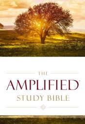 Amplified Study Bible