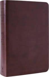 New Inductive Study Bible