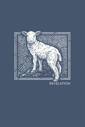 NET Abide Bible Journal Revelation Comfort Print