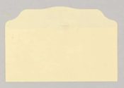 Bill Size Blank Offering Envelopes