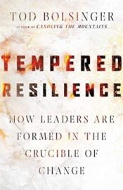 Tempered Resilience : How Leaders Are Formed In The Crucible Of Change