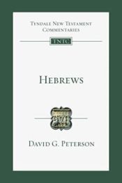 Hebrews : An Introduction And Commentaryt