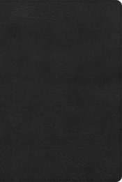 Pastors Bible