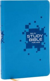 Study Bible For Kids