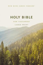 Large Print Outreach New Testament Bible Comfort Print