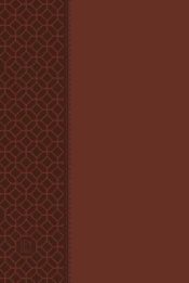 New Testament 2020 Edition Large Print With Psalms Proverbs And Song Of Son