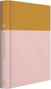 Teen Study Bible