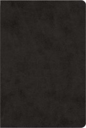 Single Column Heritage Bible