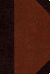 Mens Study Bible