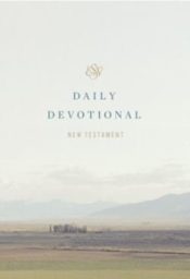 Daily Devotional New Testament Through The New Testament In A Year