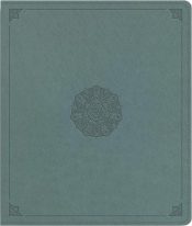 Journaling Bible