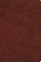 Everyday Gospel Bible Connecting Scripture To All Of Life