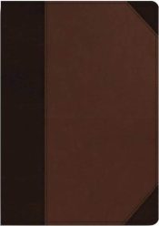 Archaeology Study Bible