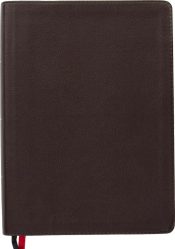 Study Bible