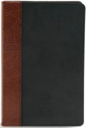Rainbow Study Bible