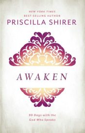 Awaken : 90 Days With The God Who Speaks