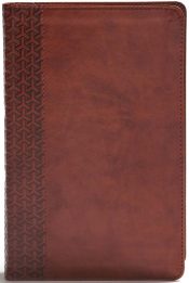 Everyday Study Bible