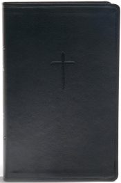 Everyday Study Bible