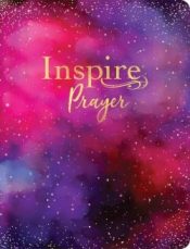 Inspire PRAYER Bible Giant Print Filament Enabled