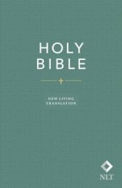 Economy Outreach Edition Bible