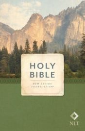 Economy Outreach Edition Bible