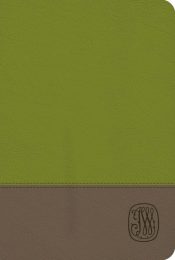 Wesley Study Bible