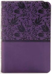 Large Print Compact Reference Bible