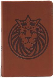 Kids Bible