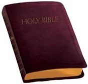 Catholic Companion Edition NABRE