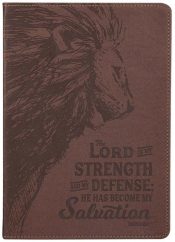 My Strength And My Defense Classic Journal