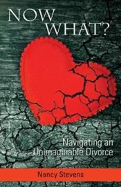 Now What : Navigating An Unimaginable Divorce