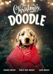 Christmas Doodle (DVD)