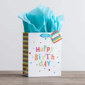 Birthday Fun Premium Gift Bag