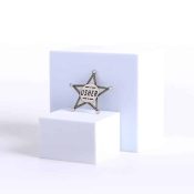Usher Star Badge Magnetic