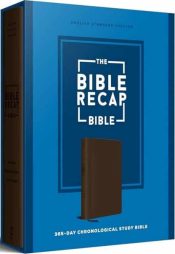 Bible Recap 365 Day Chronological Study Bible
