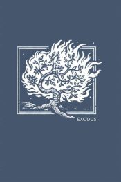 NET Abide Bible Journal Exodus Comfort Print