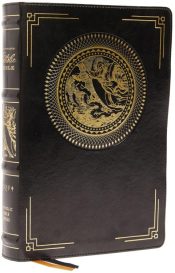 Illustrated Catholic Bible Comfort Print