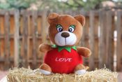 Love The Apple Bear (Action Figure)