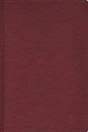 Cultural Backgrounds Study Bible Comfort Print